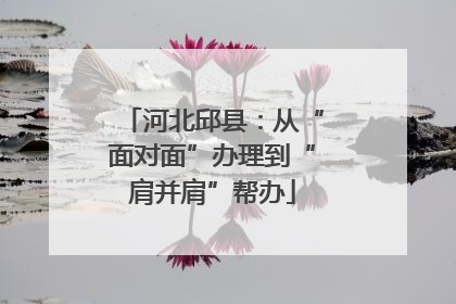 河北邱县：从“面对面”办理到“肩并肩”帮办