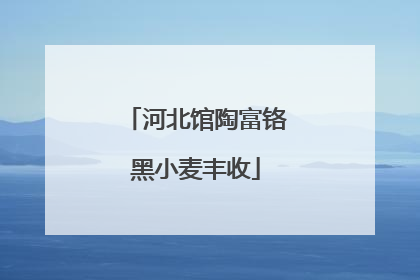河北馆陶富铬黑小麦丰收