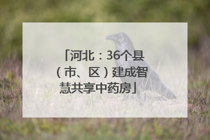 河北：36个县（市、区）建成智慧共享中药房