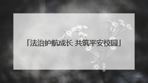 法治护航成长 共筑平安校园