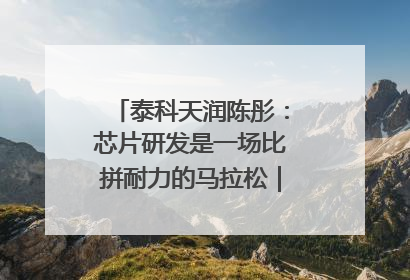 泰科天润陈彤：芯片研发是一场比拼耐力的马拉松｜湘商，向上⑤