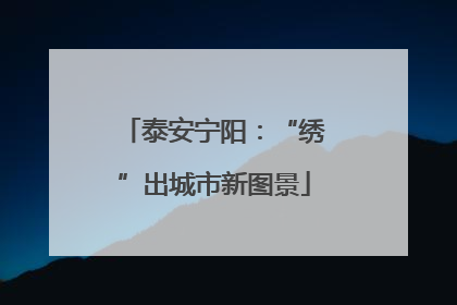 泰安宁阳：“绣”出城市新图景