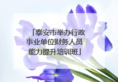 泰安市举办行政事业单位财务人员能力提升培训班