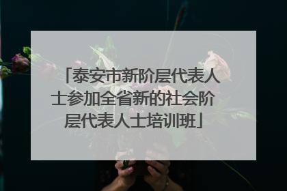 泰安市新阶层代表人士参加全省新的社会阶层代表人士培训班