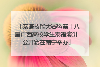 泰语技能大赛暨第十八届广西高校学生泰语演讲公开赛在南宁举办