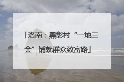 洛南：黑彰村“一地三金”铺就群众致富路