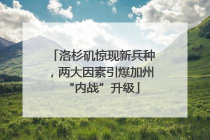 洛杉矶惊现新兵种，两大因素引爆加州“内战”升级