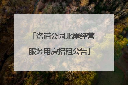 洛浦公园北岸经营服务用房招租公告