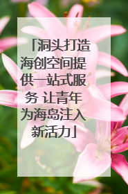 洞头打造海创空间提供一站式服务 让青年为海岛注入新活力