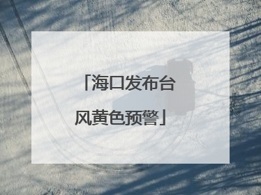 海口发布台风黄色预警