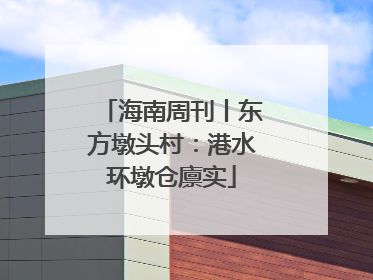 海南周刊丨东方墩头村：港水环墩仓廪实