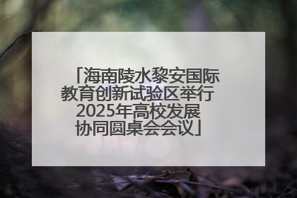 海南陵水黎安国际教育创新试验区举行2025年高校发展协同圆桌会会议