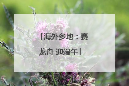 海外多地：赛龙舟 迎端午