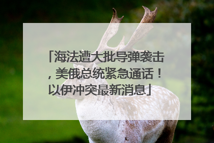 海法遭大批导弹袭击，美俄总统紧急通话！以伊冲突最新消息