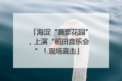 海淀“莫奈花园”，上演“稻田音乐会”！现场直击