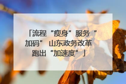流程“瘦身”服务“加码” 山东政务改革跑出“加速度”