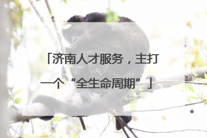 济南人才服务，主打一个“全生命周期”