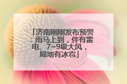 济南刚刚发布预警：雨马上到，伴有雷电、7~9级大风，局地有冰雹