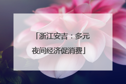 浙江安吉：多元夜间经济促消费