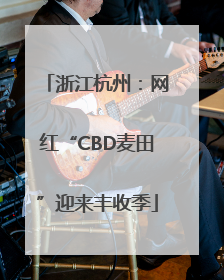 浙江杭州：网红“CBD麦田”迎来丰收季
