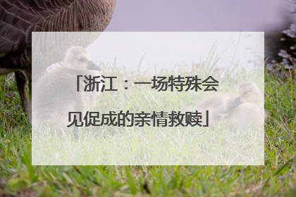 浙江：一场特殊会见促成的亲情救赎