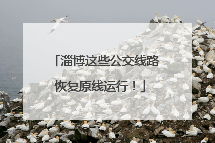 淄博这些公交线路恢复原线运行！