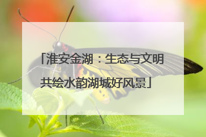 淮安金湖：生态与文明共绘水韵湖城好风景
