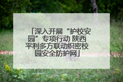 深入开展“护校安园”专项行动 陕西平利多方联动织密校园安全防护网