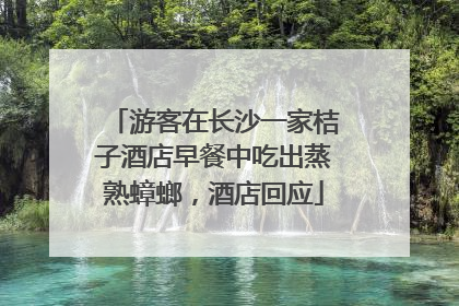游客在长沙一家桔子酒店早餐中吃出蒸熟蟑螂，酒店回应