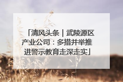 清风头条｜武陵源区产业公司：多措并举推进警示教育走深走实