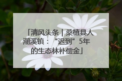 清风头条｜桑植县人潮溪镇：“迟到”5年的生态林补偿金