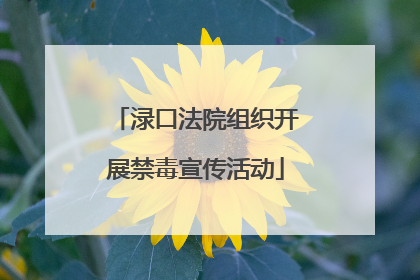 渌口法院组织开展禁毒宣传活动