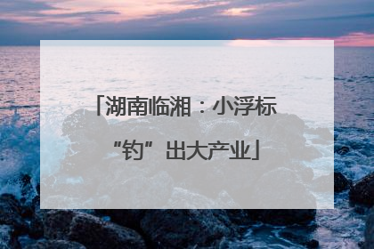 湖南临湘：小浮标“钓”出大产业