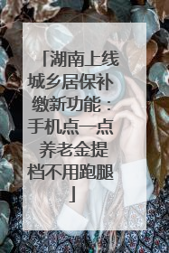 湖南上线城乡居保补缴新功能：手机点一点 养老金提档不用跑腿