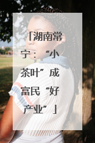 湖南常宁：“小茶叶”成富民“好产业”
