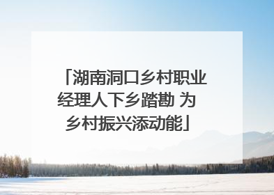 湖南洞口乡村职业经理人下乡踏勘 为乡村振兴添动能