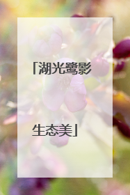 湖光鹭影生态美