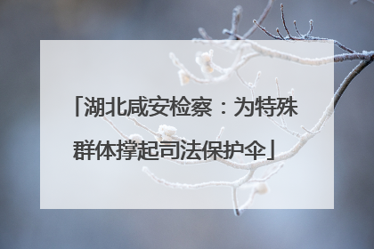 湖北咸安检察：为特殊群体撑起司法保护伞