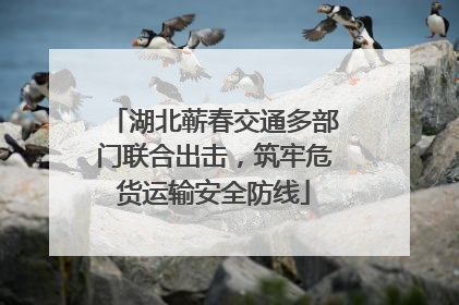 湖北蕲春交通多部门联合出击，筑牢危货运输安全防线