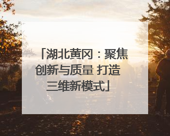 湖北黄冈：聚焦创新与质量 打造三维新模式
