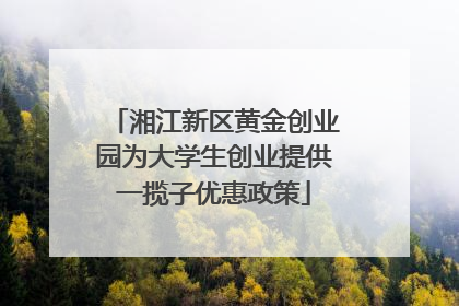 湘江新区黄金创业园为大学生创业提供一揽子优惠政策