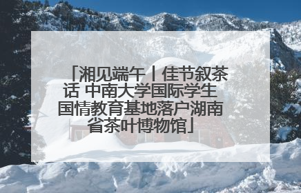 湘见端午丨佳节叙茶话 中南大学国际学生国情教育基地落户湖南省茶叶博物馆
