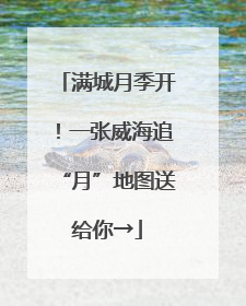 满城月季开！一张威海追“月”地图送给你→