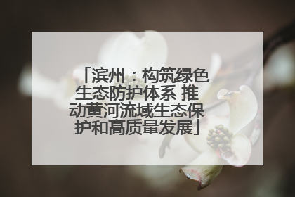 滨州：构筑绿色生态防护体系 推动黄河流域生态保护和高质量发展