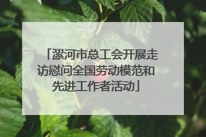 漯河市总工会开展走访慰问全国劳动模范和先进工作者活动