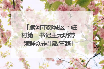 漯河市郾城区：驻村第一书记王元明带领群众走出致富路