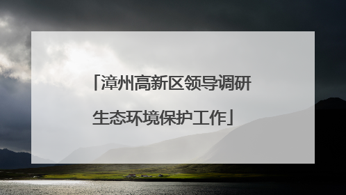 漳州高新区领导调研生态环境保护工作
