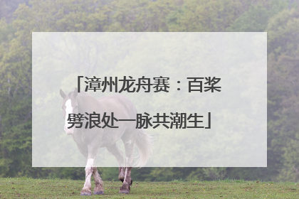 漳州龙舟赛：百桨劈浪处一脉共潮生