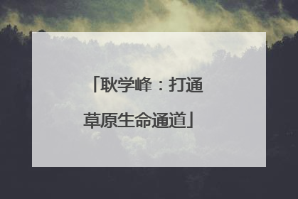 耿学峰：打通草原生命通道