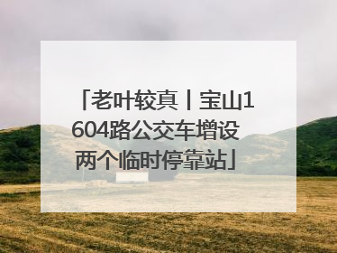 老叶较真丨宝山1604路公交车增设两个临时停靠站